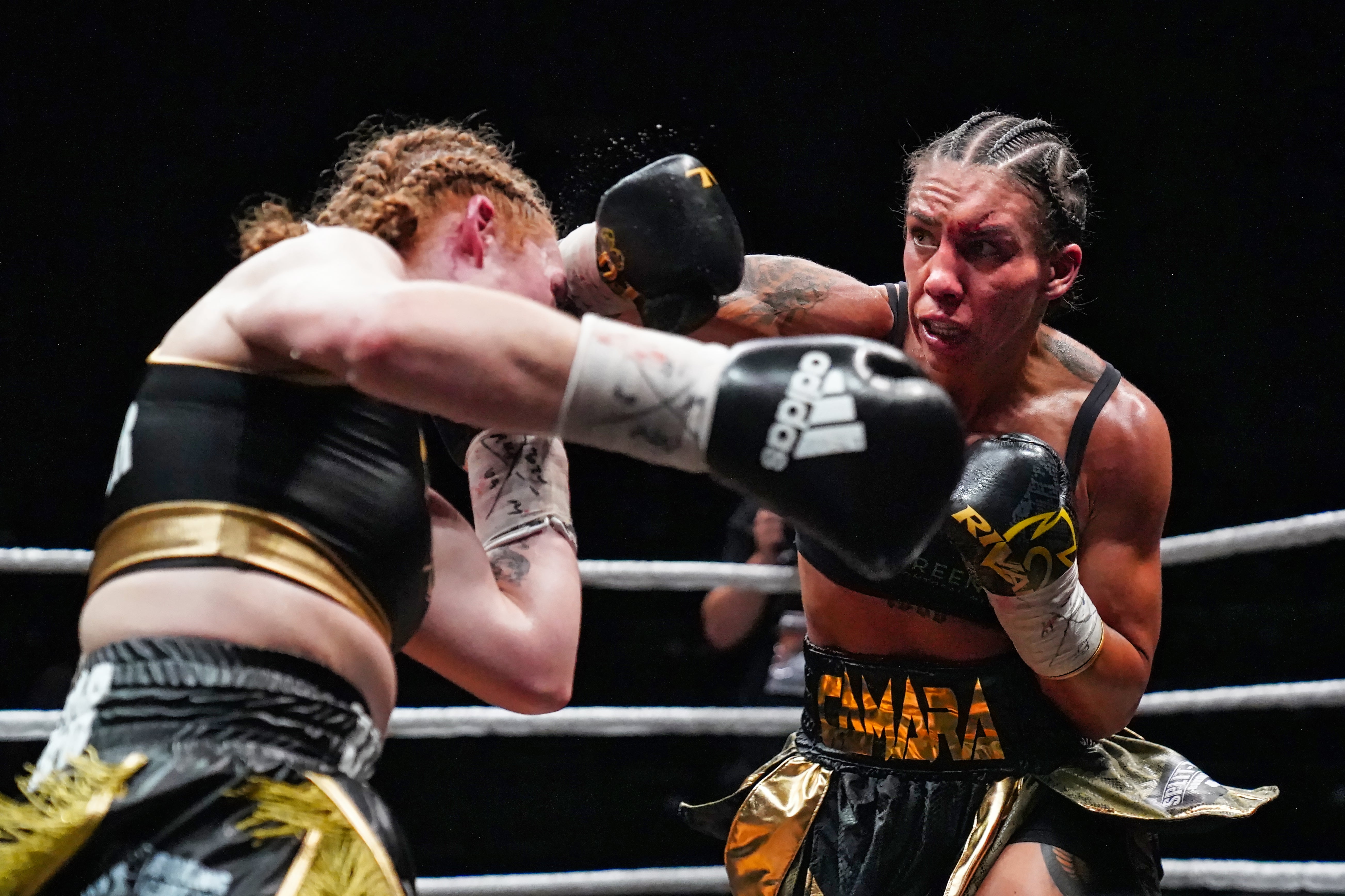 Les Prix Canada Fighting 2024 de la boxe québécoise - Canada Fighting