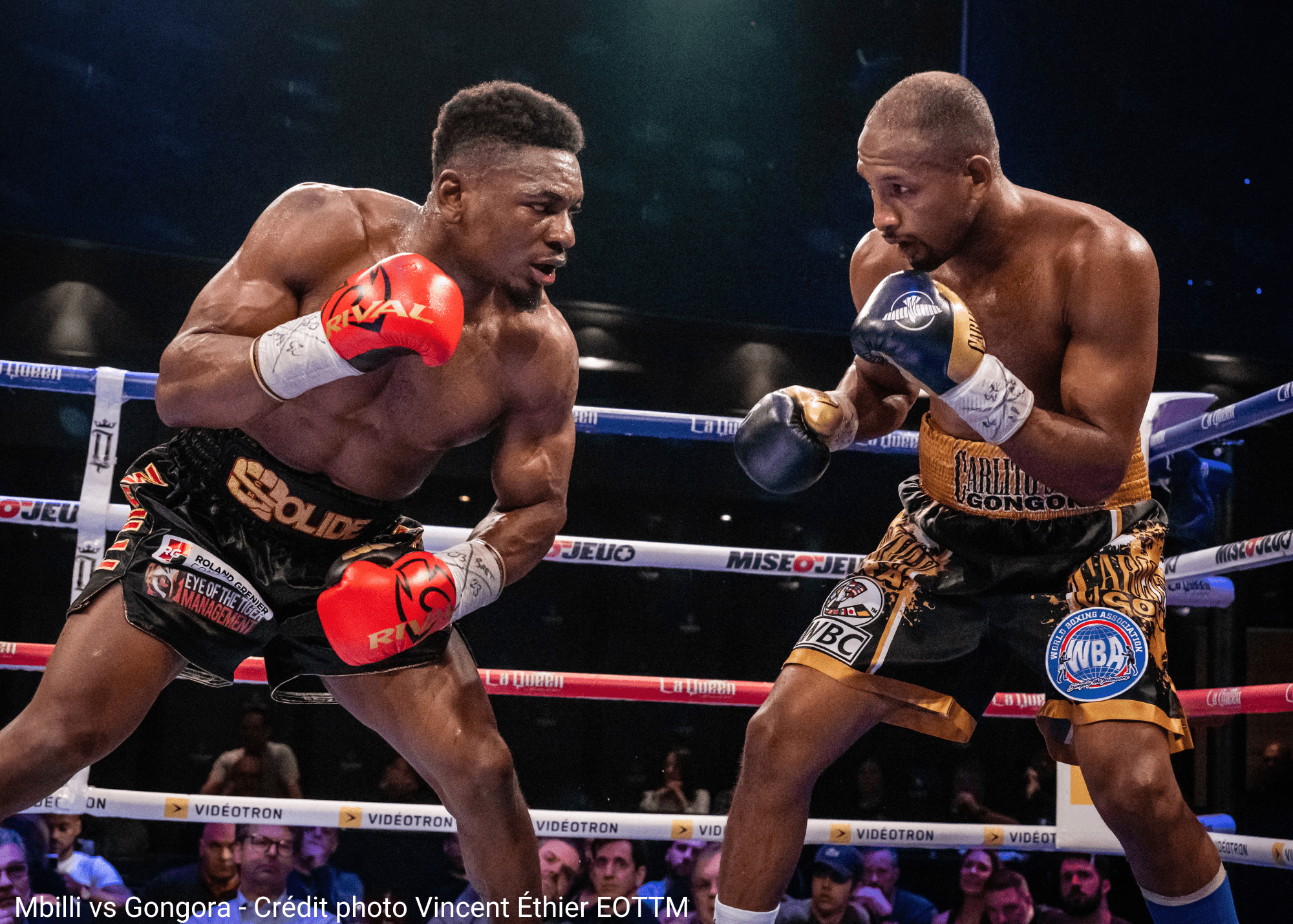 Revue de l’année québécoise - Canada Fighting