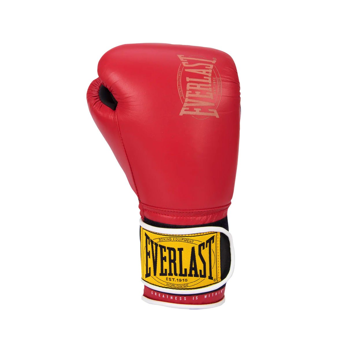 Everlast 1910 Classic - Canada Fighting Gants de boxe