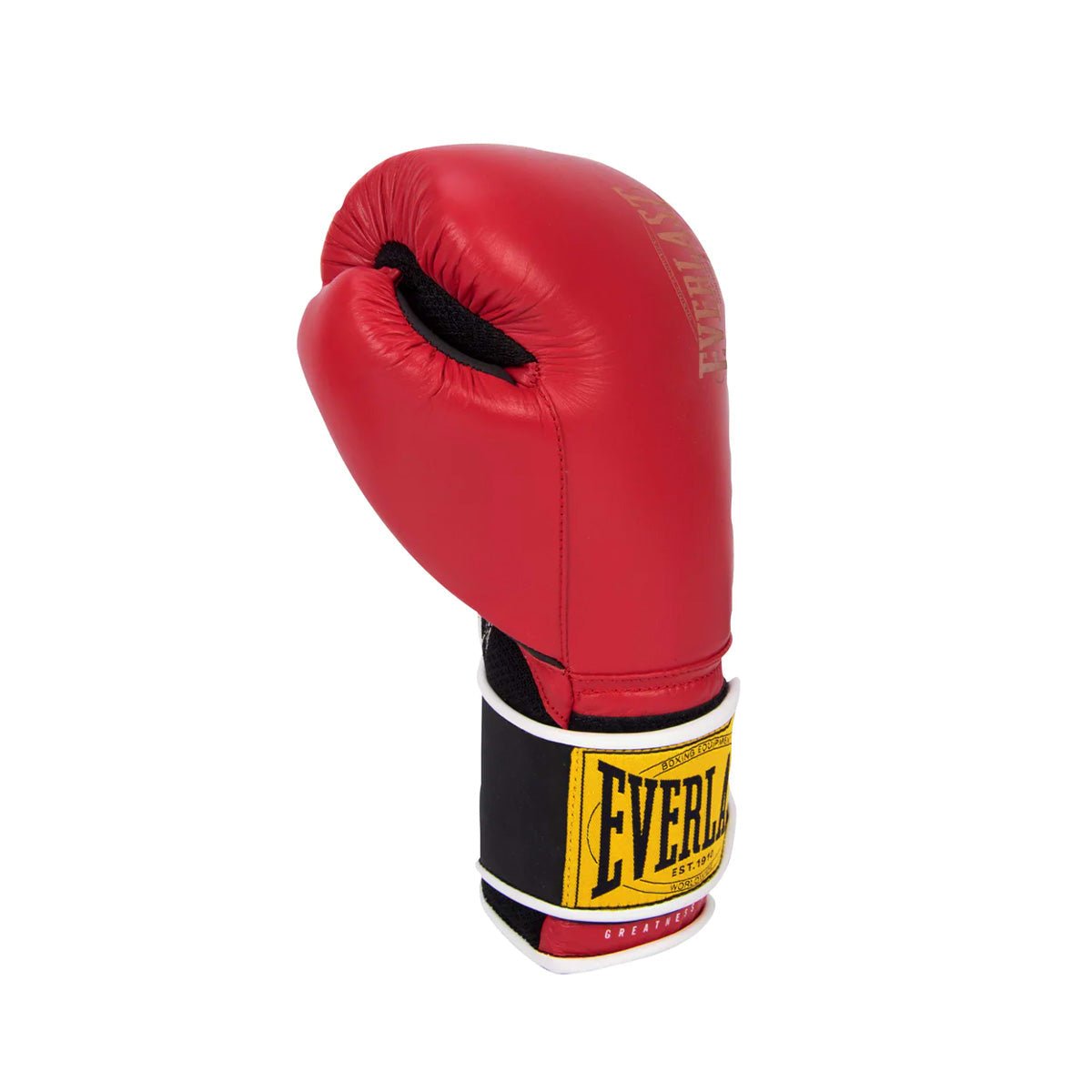 Everlast 1910 Classic - Canada Fighting Gants de boxe