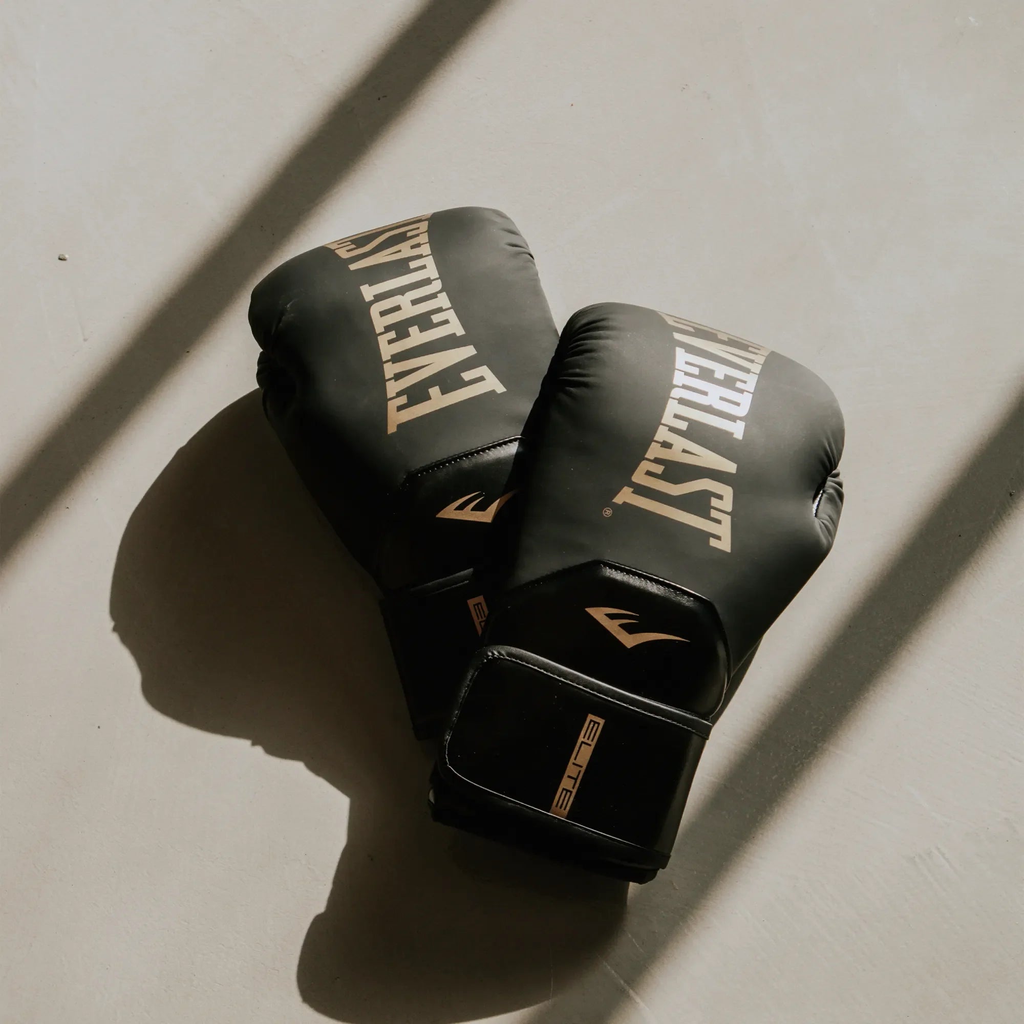 Everlast Gants de boxe Elite - Canada Fighting Gants de boxe