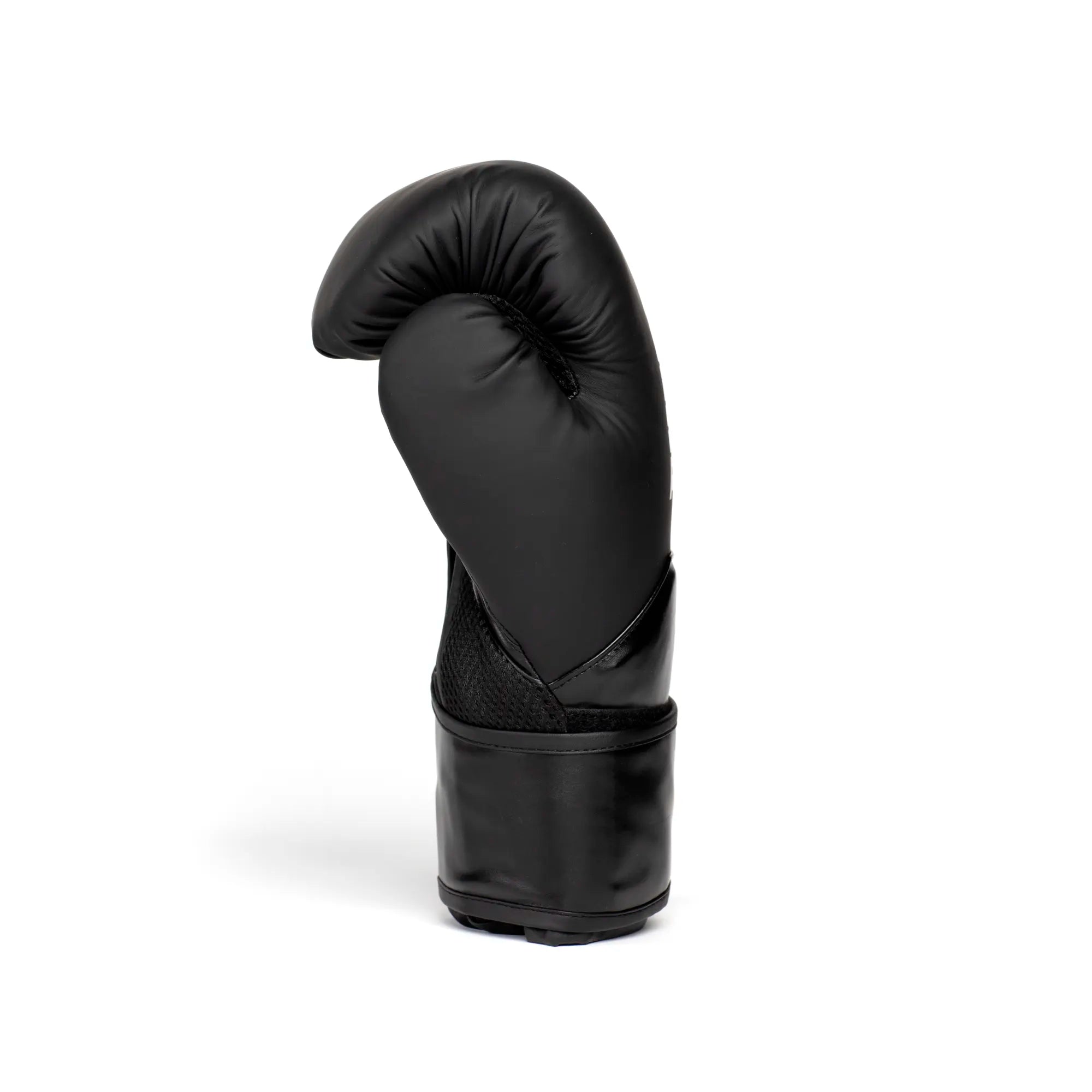 Everlast Gants de boxe Elite - Canada Fighting Gants de boxe