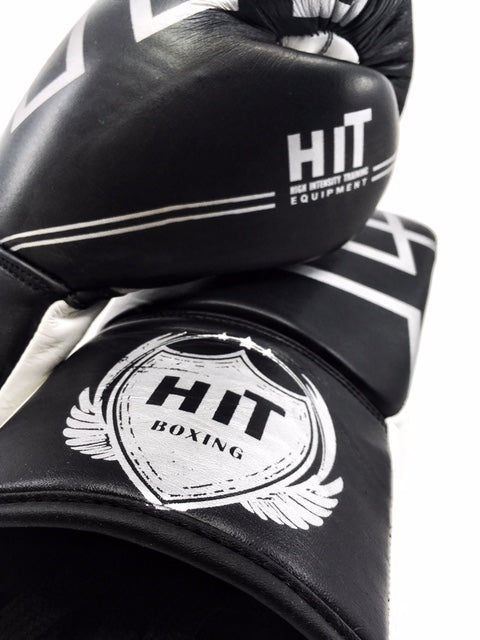 GANTS PROFESSIONNELS HiT SILVER - Canada Fighting Gants de boxe