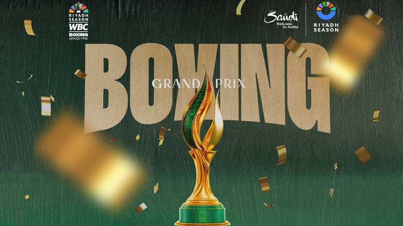 Tournoi Grand Prix Riyadh Season - prédictions chez les poids moyens
