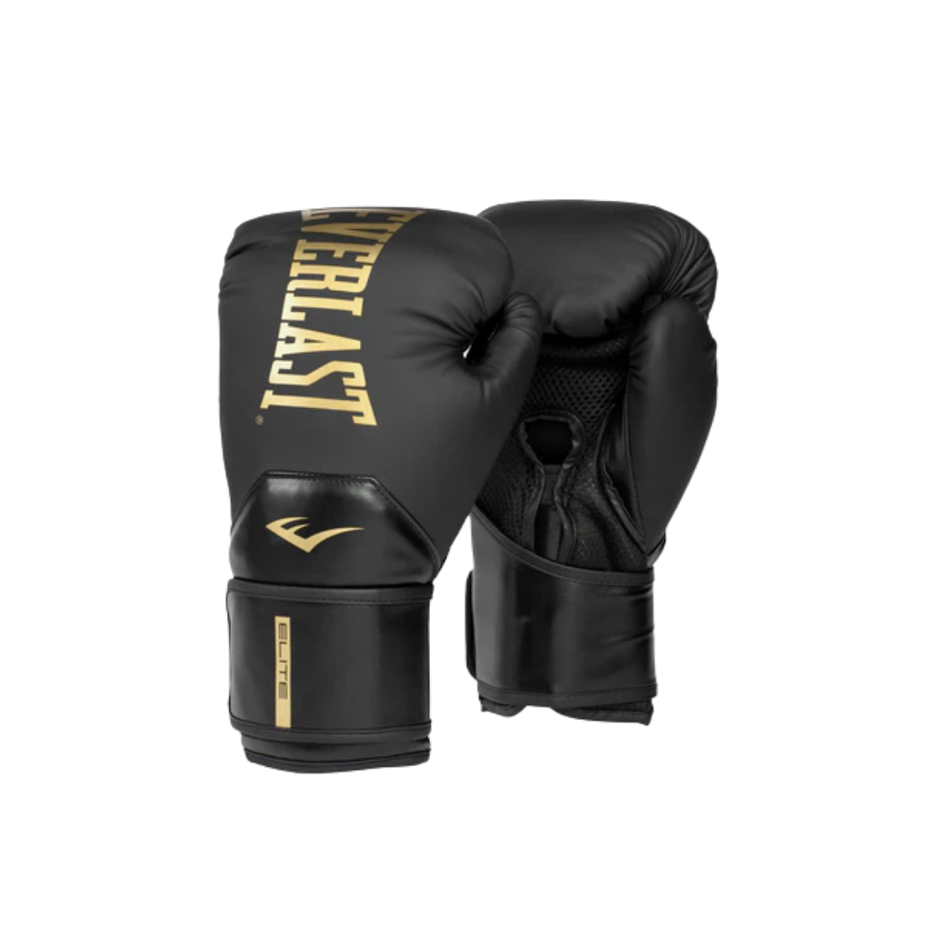 Everlast Boxing Gloves - H&amp;L