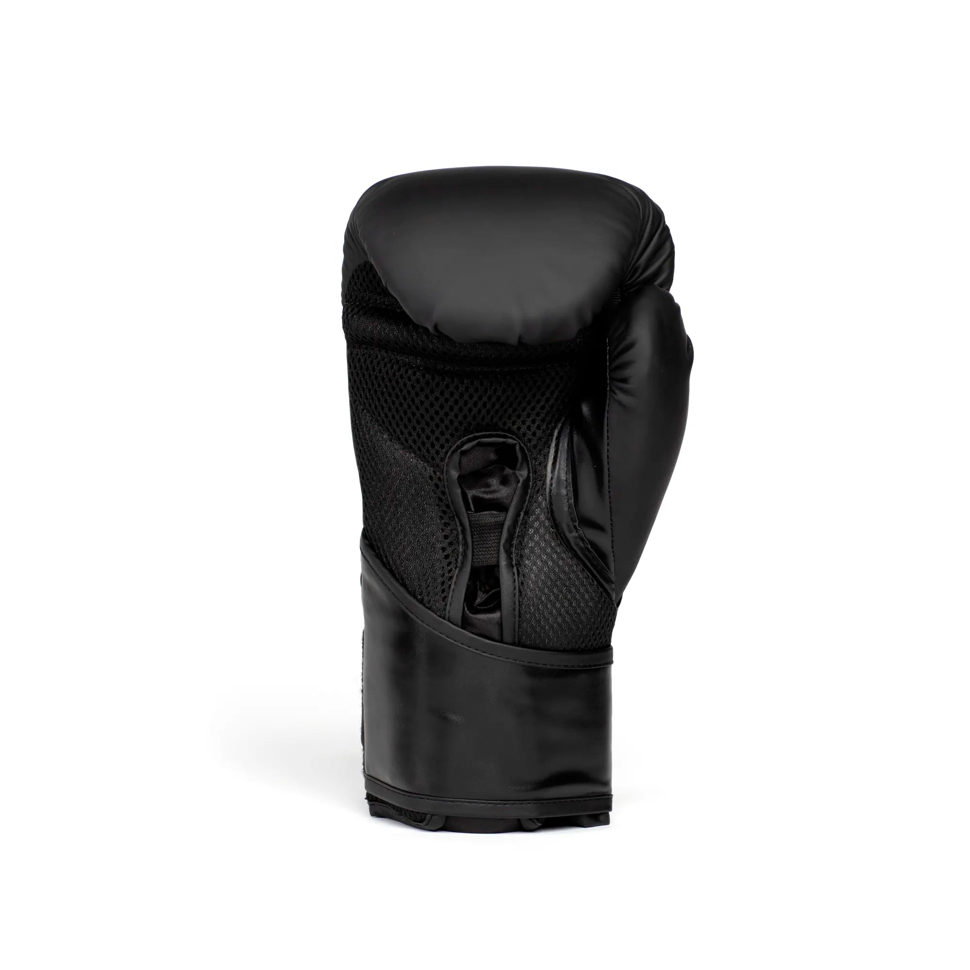 Everlast Boxing Gloves - H&amp;L